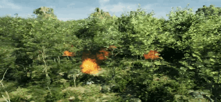 Wildfire spreading through a forest
