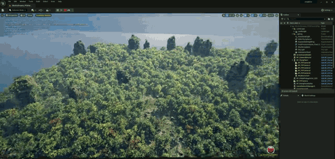 Flood inundation in a dense jungle